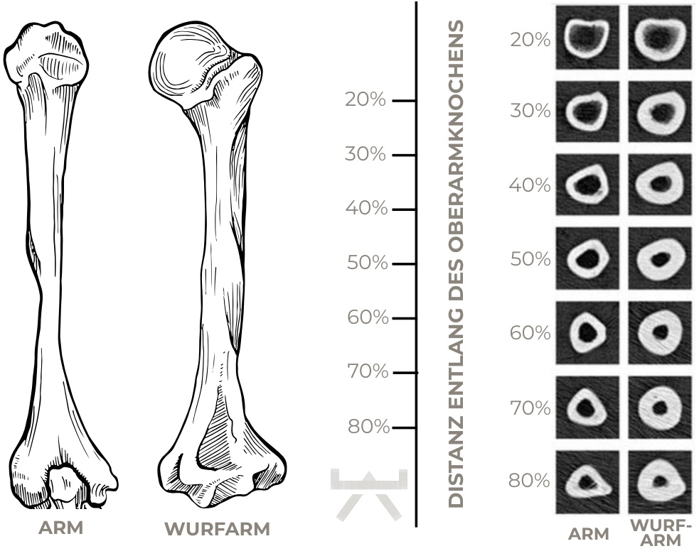 Abbildungen_Blogsystematiken - 13