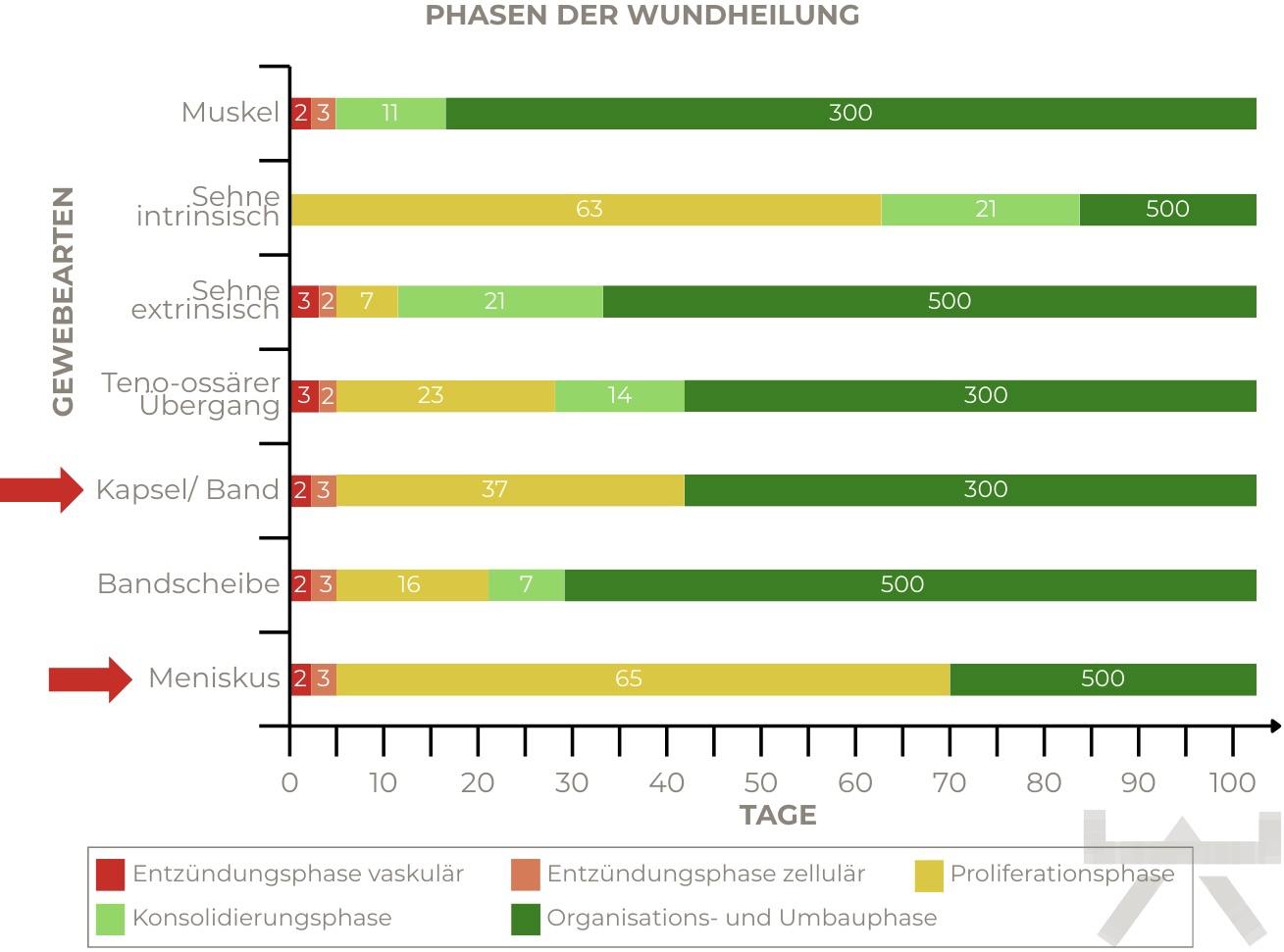 Quelle: Universitätsklinik Balgrist