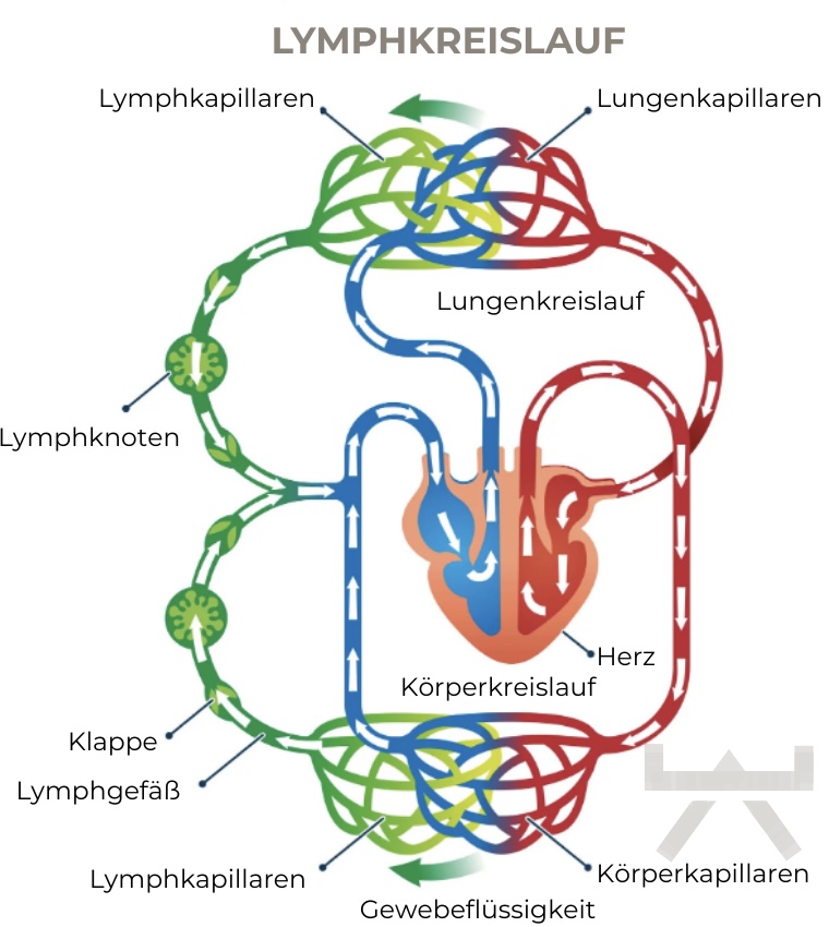 Abbildungen_Blogsystematiken - 4 Abbildungen_Blogsystematiken - 4