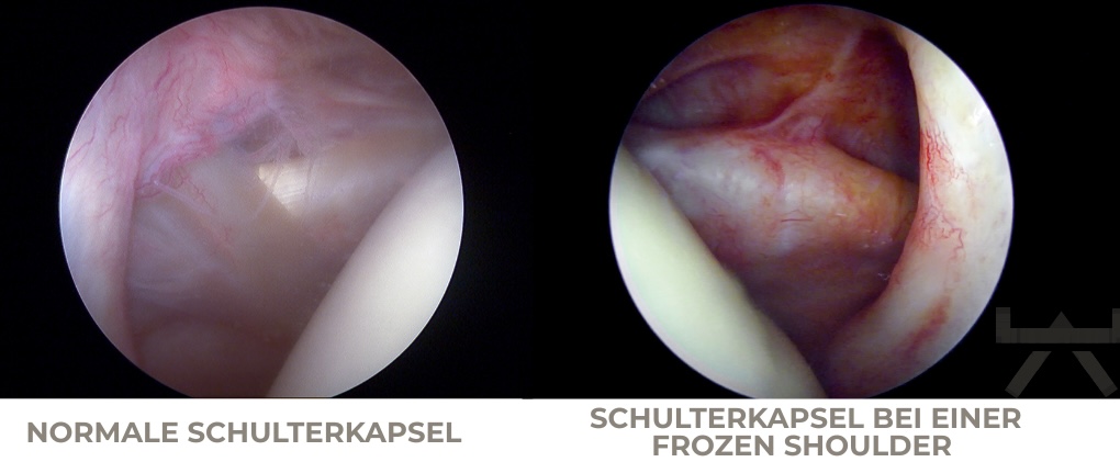 Abbildungen_Blogsystematiken - 6 Abbildungen_Blogsystematiken - 6
