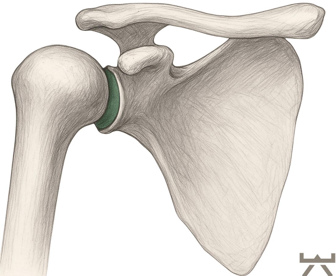 Design ohne Titel (10)