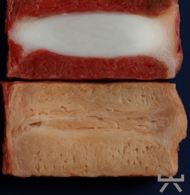 Design ohne Titel (11)