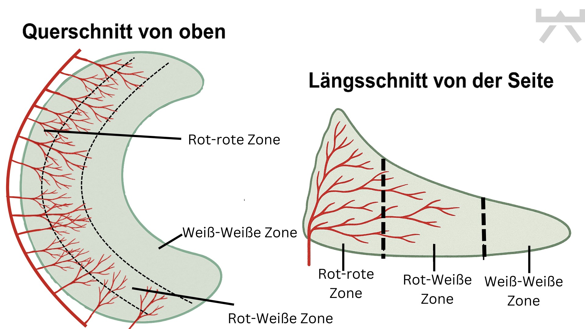 Quelle: Gesundheitsinformation